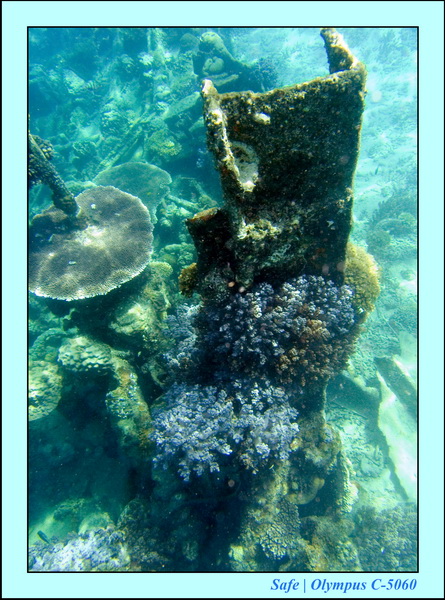 2008 - 07 - Redang - 047